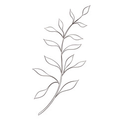 Wildflowers Lineart Outline Hand Drawn