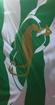 County Flag of Wiltshire. Loop. 4K Vertical