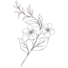 Wildflowers Lineart Outline Hand Drawn