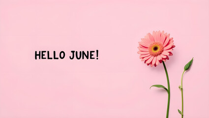 Photograph of a simple greeting card with a pink background and the words "hello June!" written in a playful, cursive font. The words are centered on the card and written in a dark red color. 