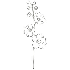 Wildflowers Lineart Outline Hand Drawn