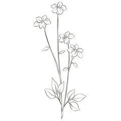 Wildflowers Lineart Outline Hand Drawn