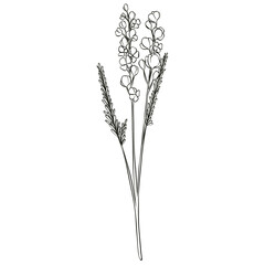 Wildflowers Lineart Outline Hand Drawn