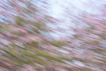 A blurred and dynamic image of pink and green flowers.