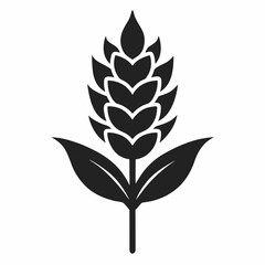 Amaranth Silhouette Vector icon on white background