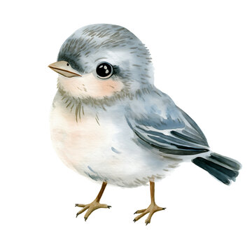 Watercolor illustration of a cute bird chickadee baby animal art print nursery decor avian design ornithology