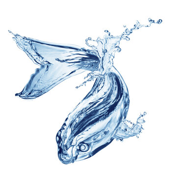 Fototapeta Water splash forming the shape of a dynamic fish on a transparent background