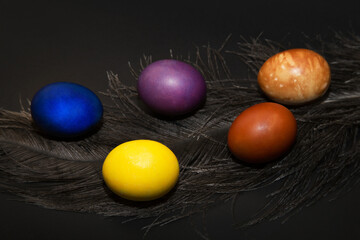 Colored dyed chicken eggs lie along a feather on a black background.