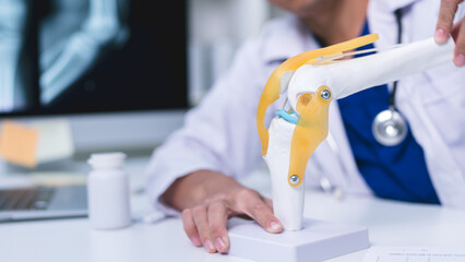 The doctor at the clinic, a skilled physician in orthopedics, provides professional care for knee joint and bone health using advanced medicine and anatomy expertise.
