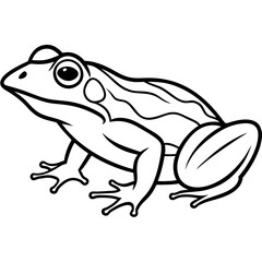 Clean Line Art Frog Drawing