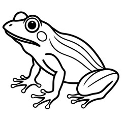 Clean Line Art Frog Drawing