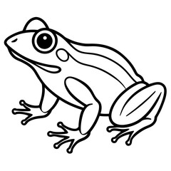 Clean Line Art Frog Drawing