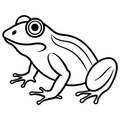 Clean Line Art Frog Drawing
