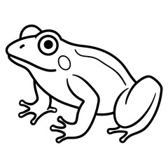 Clean Line Art Frog Drawing