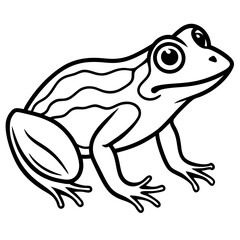 Clean Line Art Frog Drawing