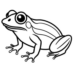 Clean Line Art Frog Drawing
