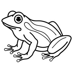 Clean Line Art Frog Drawing
