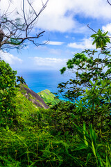 Obraz premium Scenic View in Morne Seychellois national park