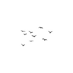 Group of birds in the sky, frozen in motion, ideal for minimalist and airy designs.