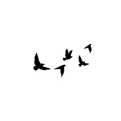 Group of birds in the sky, frozen in motion, ideal for minimalist and airy designs.