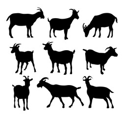 set collection goat vector silhouette