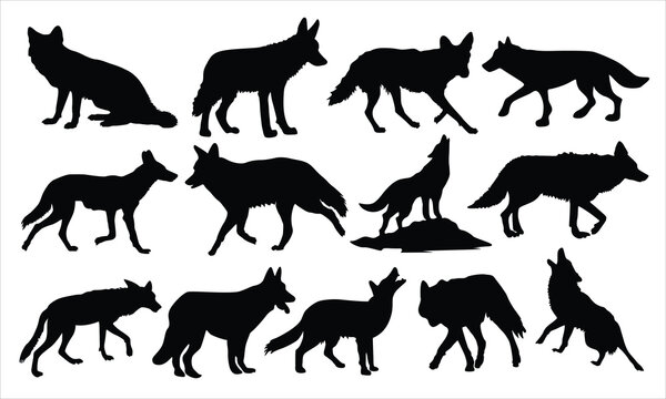 Coyote silhouette vector illustration set