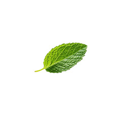 Fototapeta premium Fresh Mint Leaf Isolated on White Background Green Peppermint Herb Spearmint Plant Mentha Aromatic Ingredient for Tea Drinks Cocktails Food Culinary Medicine and Natural Remedies Refreshing Flavor