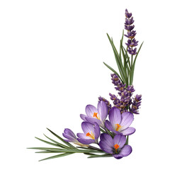 Fototapeta premium A vibrant arrangement of lavender and crocus flowers, showcasing their delicate petals and green leaves.
