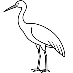 Clean Stork Line Drawing Vector