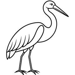 Clean Stork Line Drawing Vector