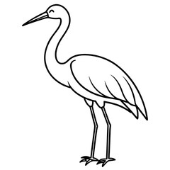 Clean Stork Line Drawing Vector