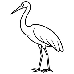 Clean Stork Line Drawing Vector