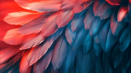 Obraz premium Abstract Elegance: Feathered Wing Design with Flowing, Artistic Details