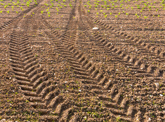 empreinte de tracteur dans la terre