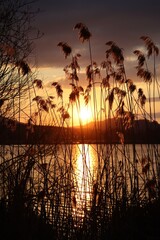 Obraz premium Sunset in a Nature reserve