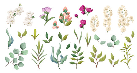 A set of flowers, leaves and twigs on a white background. Elements for the festive decor. Vector illustration in watercolor style.