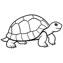 Clean Tortoise Line Art Design