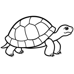 Clean Tortoise Line Art Design