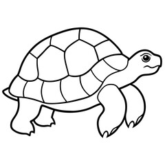 Clean Tortoise Line Art Design