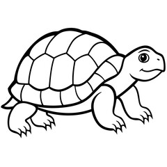 Clean Tortoise Line Art Design