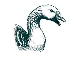 Goose hand drawn sketch illustration vector