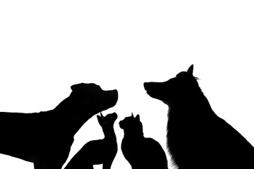 Black silhouettes of dog and cat portraits looking up on white background