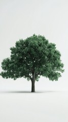 Obraz premium Solitary green tree with lush foliage stands against a bright white background in a serene and minimalist composition