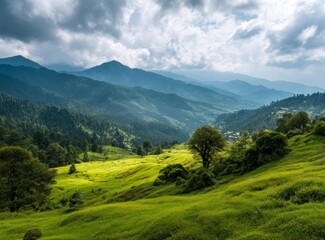 Fototapeta premium Green Meadow Landscape with Distant Mountains and Cloudy Sky