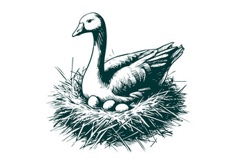 Goose hand drawn sketch illustration vector