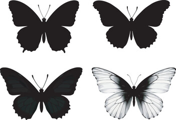 Butterfly Silhouette and Transparent Wing Vector Set