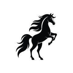 a black and white noble horse rearing up.eps