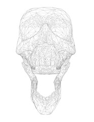 A skull is shown in black and white. The skull is drawn in a very detailed manner, with many lines and curves. The skull appears to be very old and has a sense of mystery and intrigue