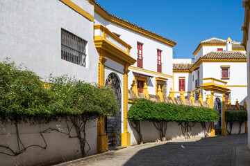 A street in the Andalusian city of Seville, with the traditional Spanish colours of bright yellow and white, with beautifully trained plants lining the exterior walls
