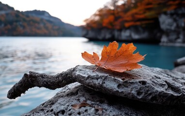 A leaf rests on a rock beside tranquil water, showcasing nature's simple beauty.